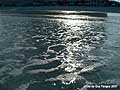 Guy Fanguy - Artist - Photographer - Guy Fanguy - Towns - South Carolina - Myrtle beach (14).jpg Size: 78391 - 6